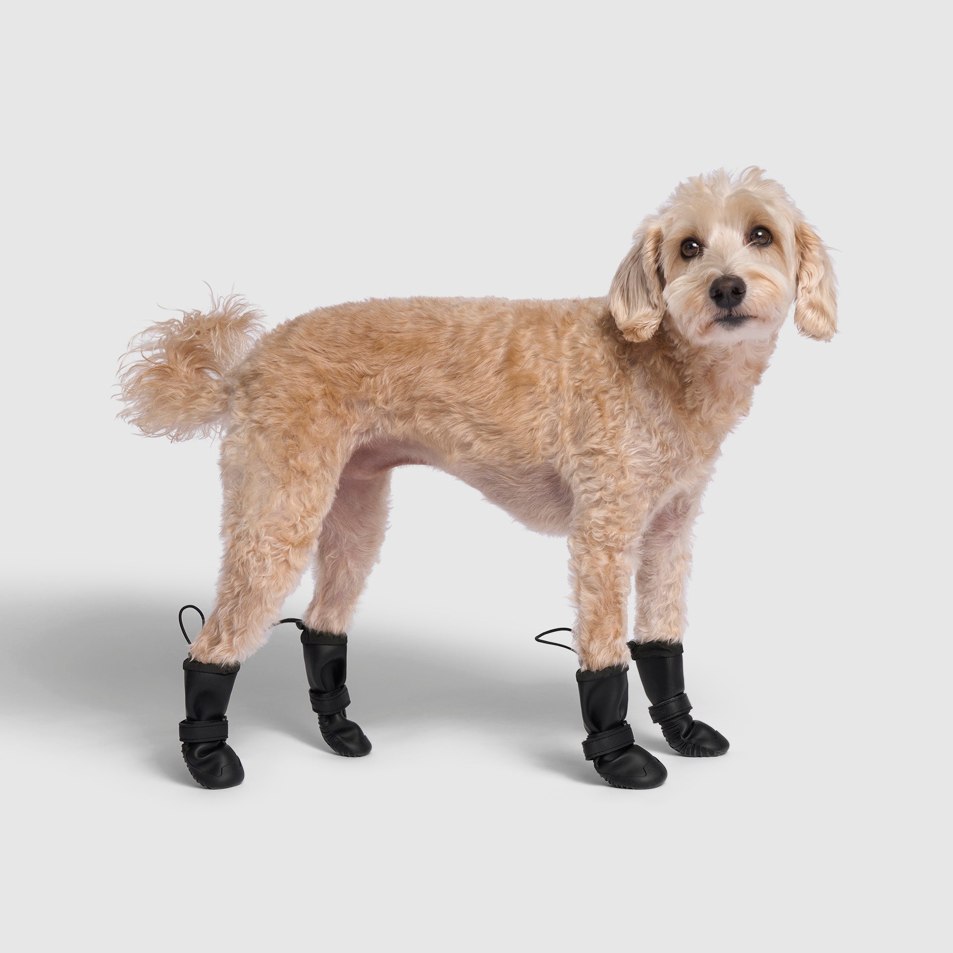 Waterproof Rain Boots K3