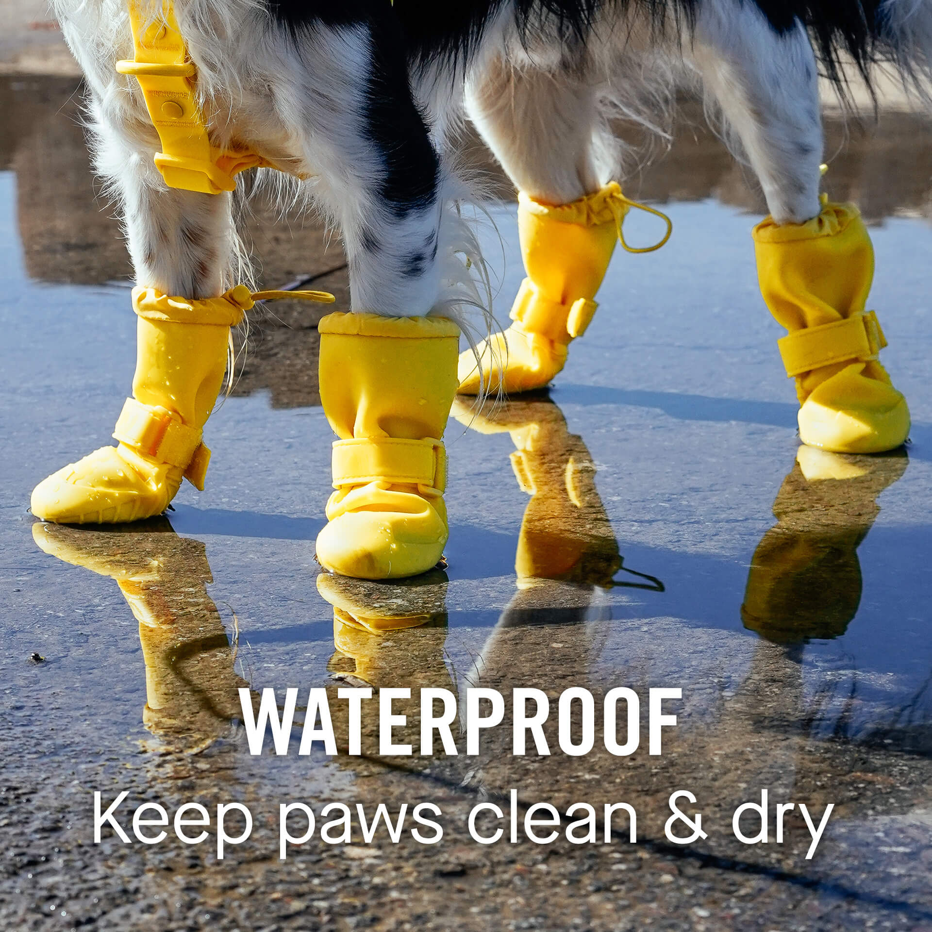 Waterproof Rain Boots K3