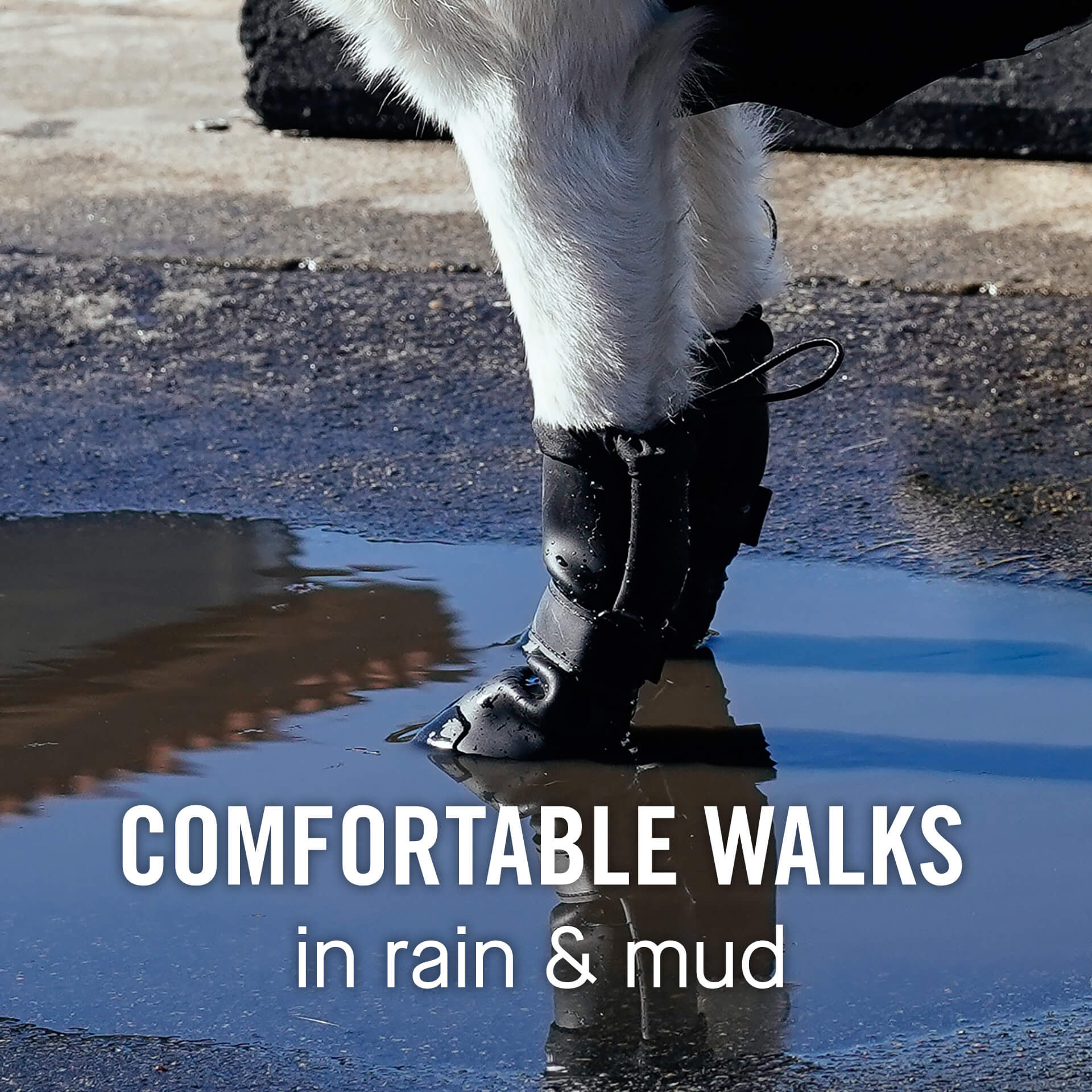 Waterproof Rain Boots K3