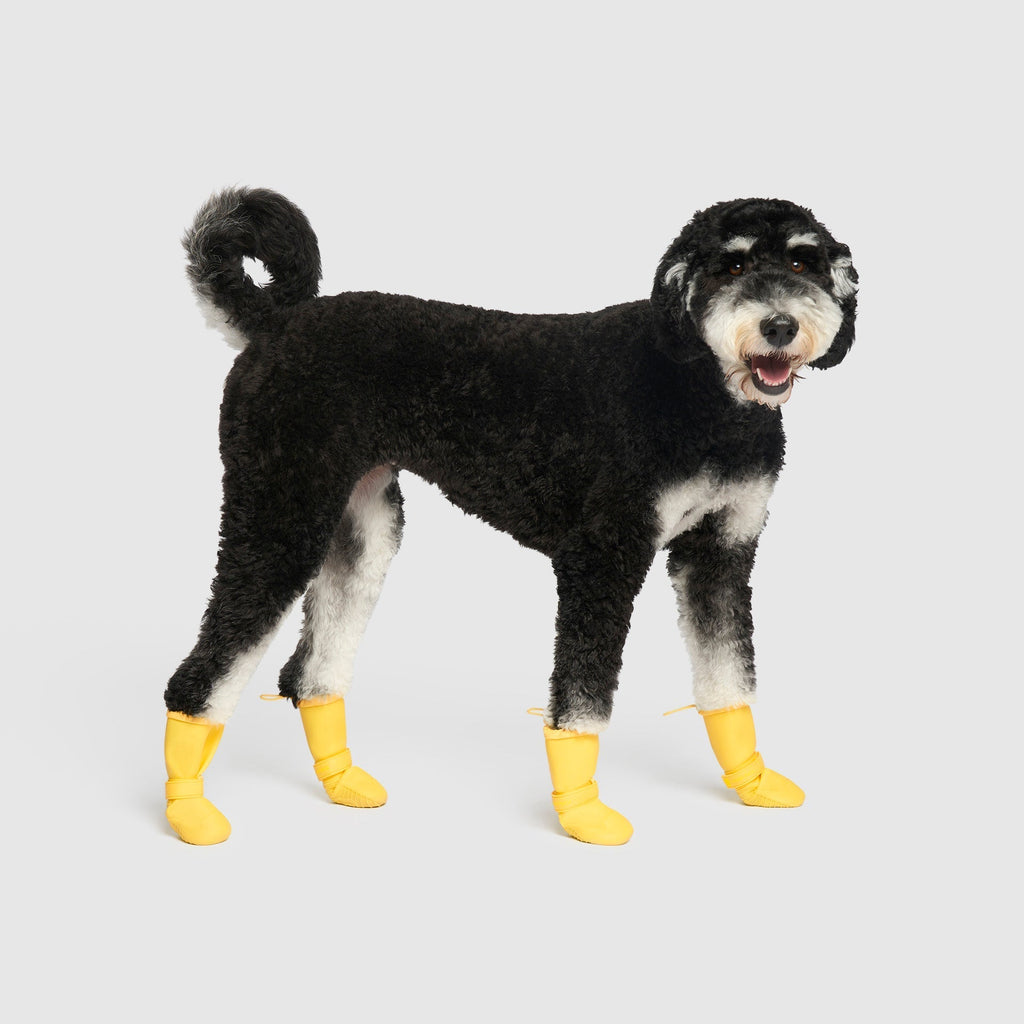 Waterproof Rain Boots K3