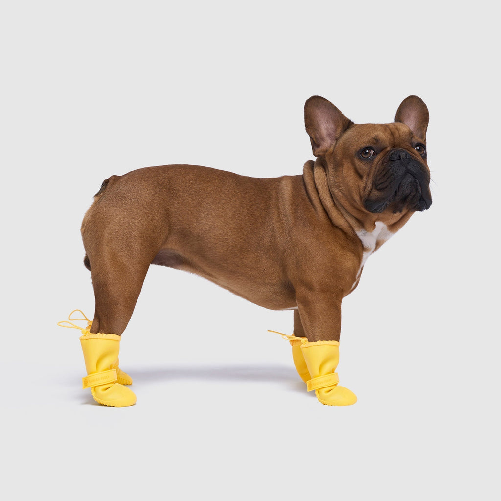 Waterproof Rain Boots K3