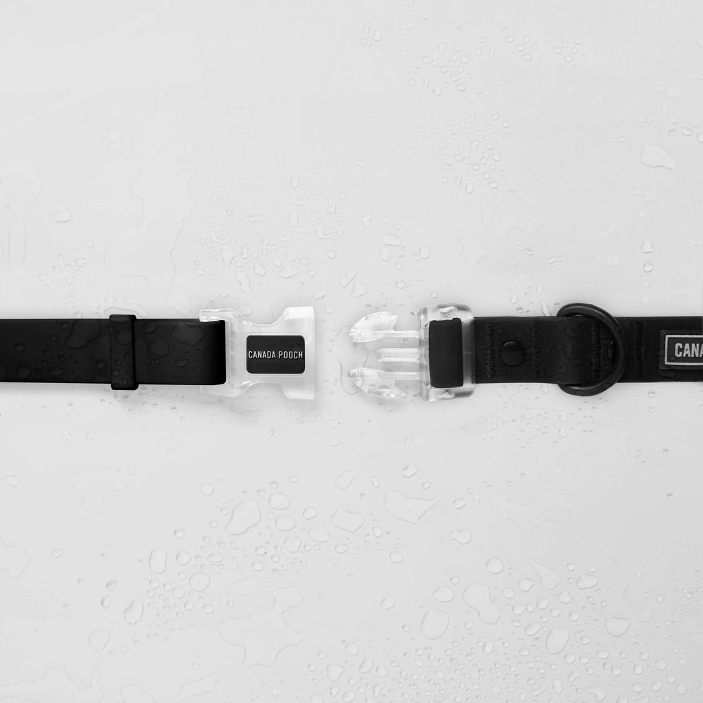 Waterproof Collar Z7
