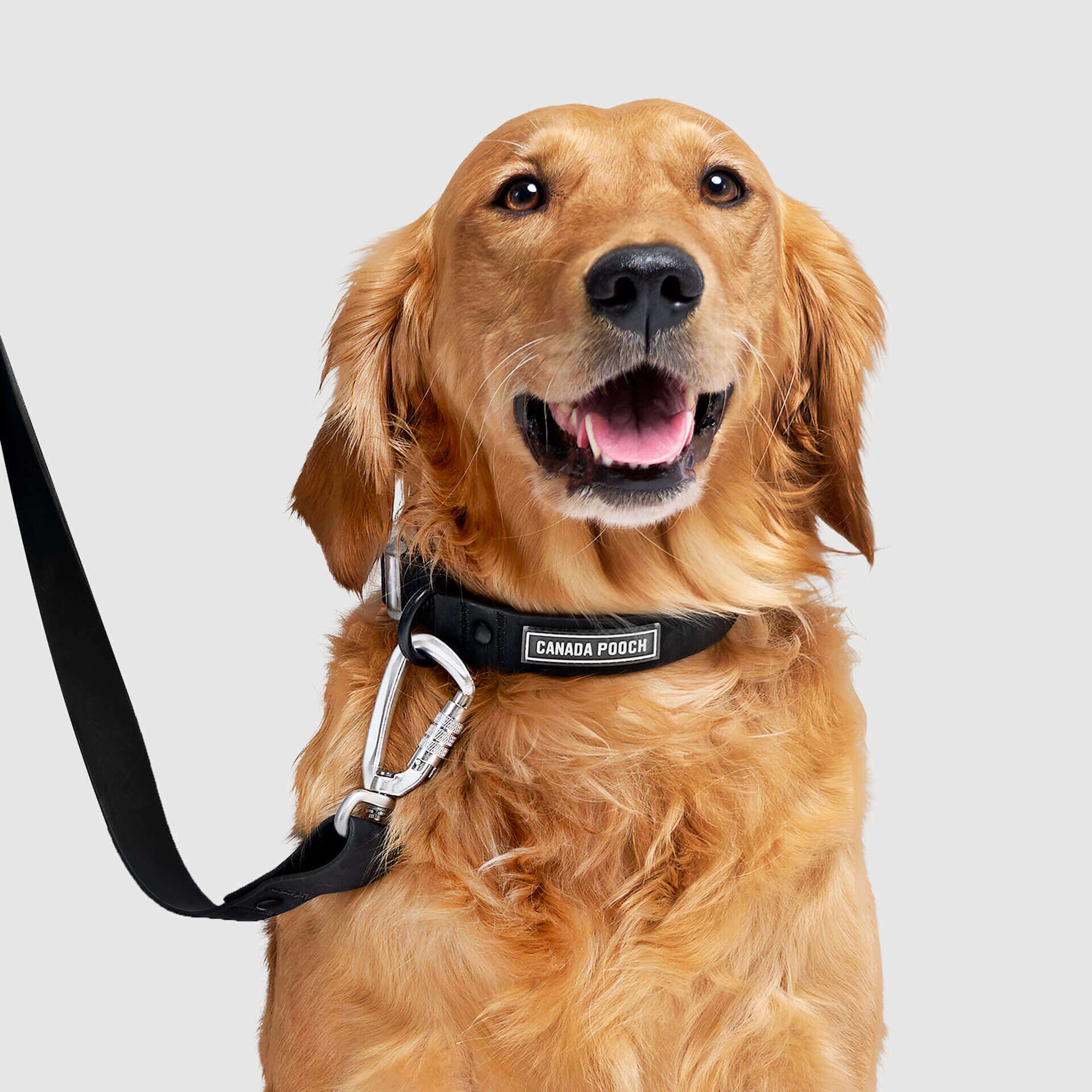 Waterproof Collar Z7