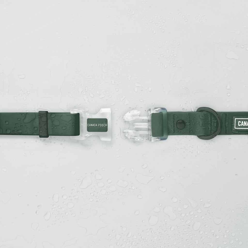 Waterproof Collar Z7