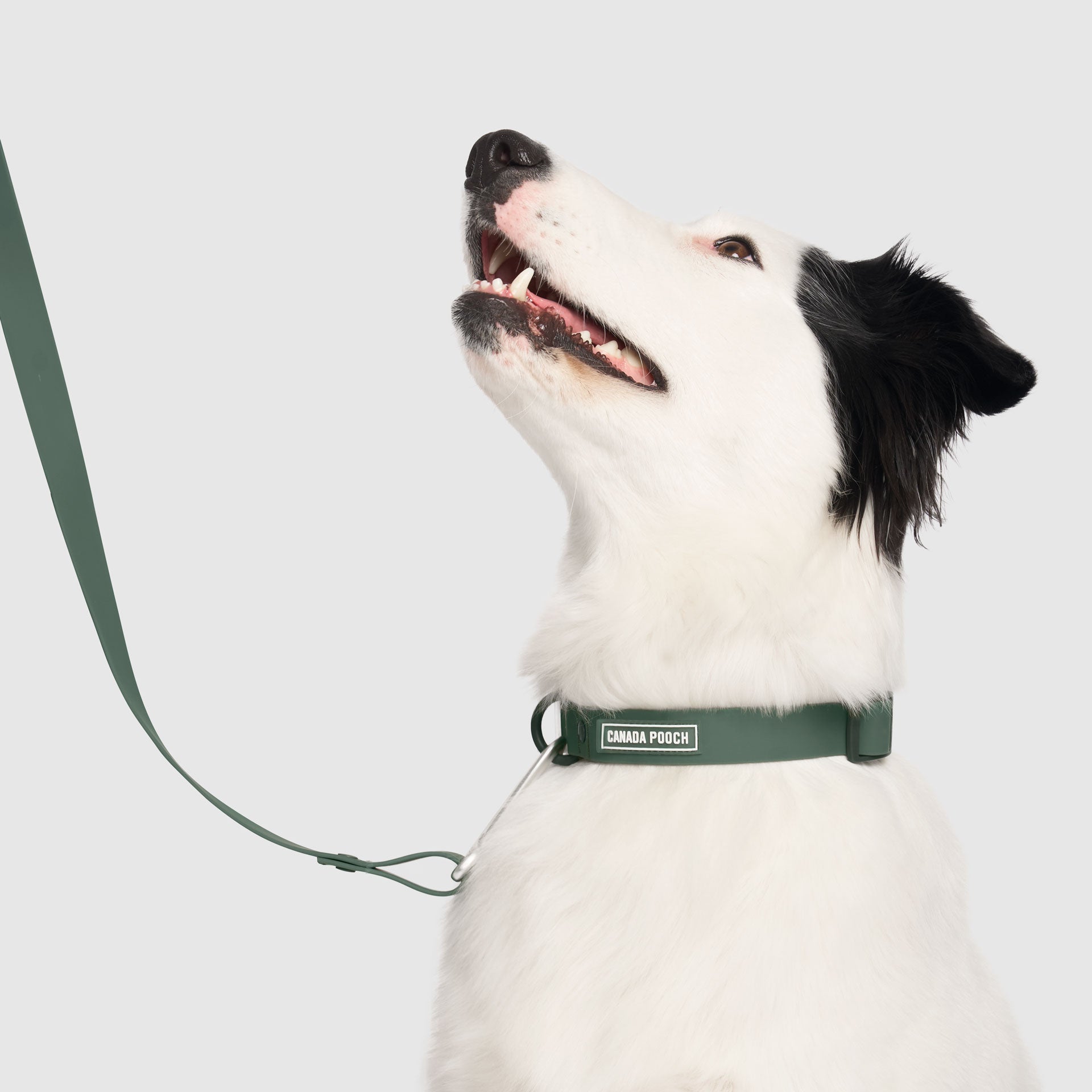 Waterproof Collar Z7