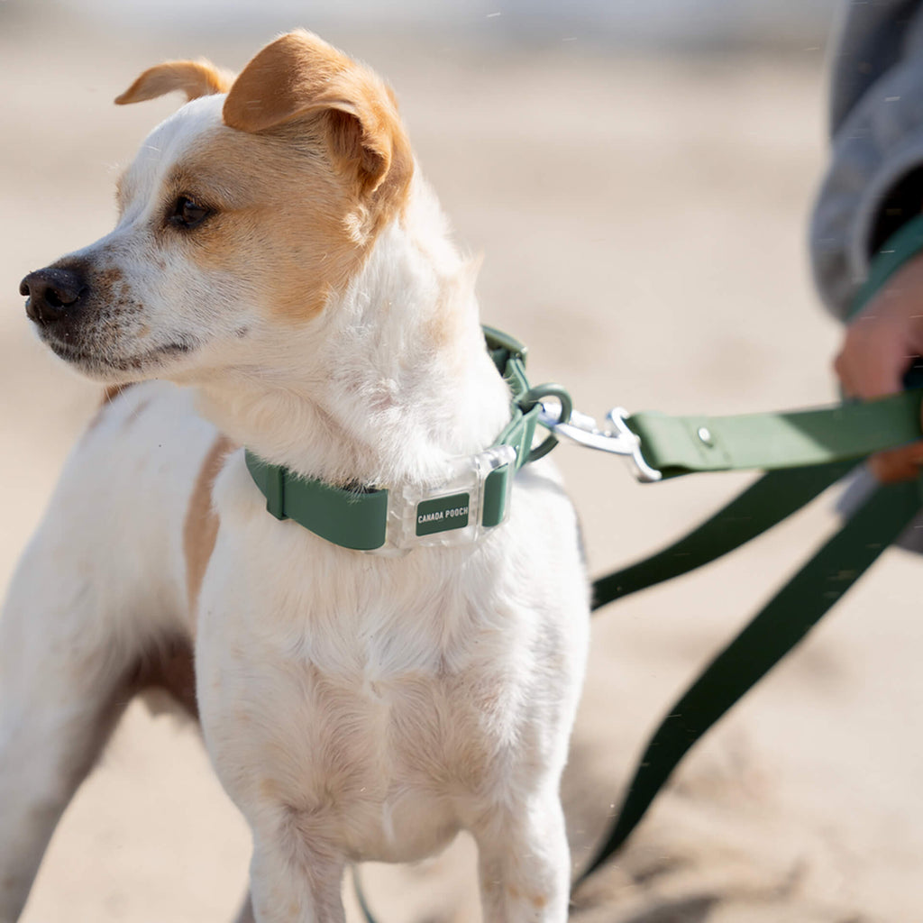 Waterproof Collar Z7