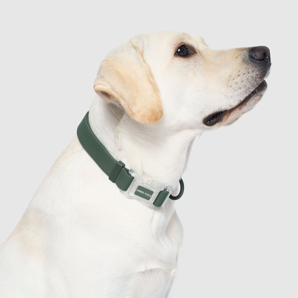 Waterproof Collar Z7
