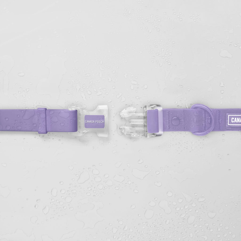 Waterproof Collar Z7