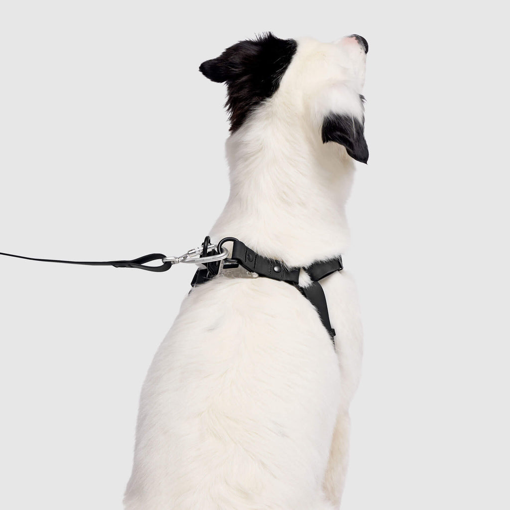 Waterproof Harness M4