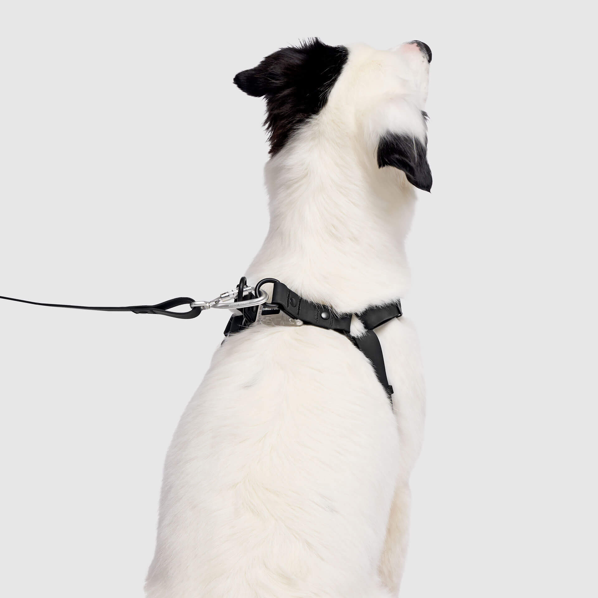 Waterproof Harness M4
