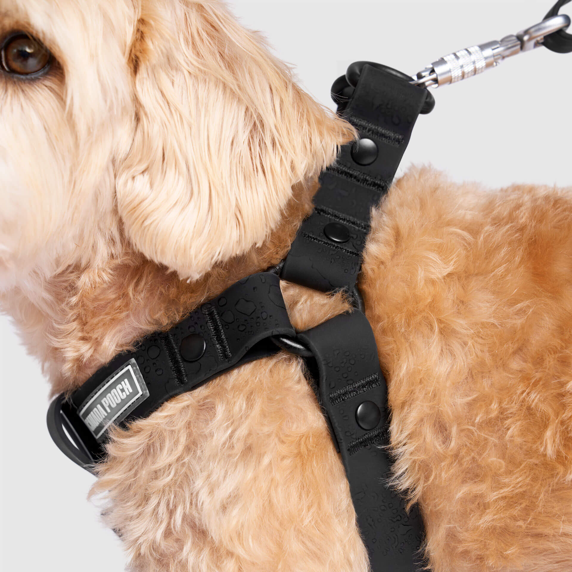 Waterproof Harness M4