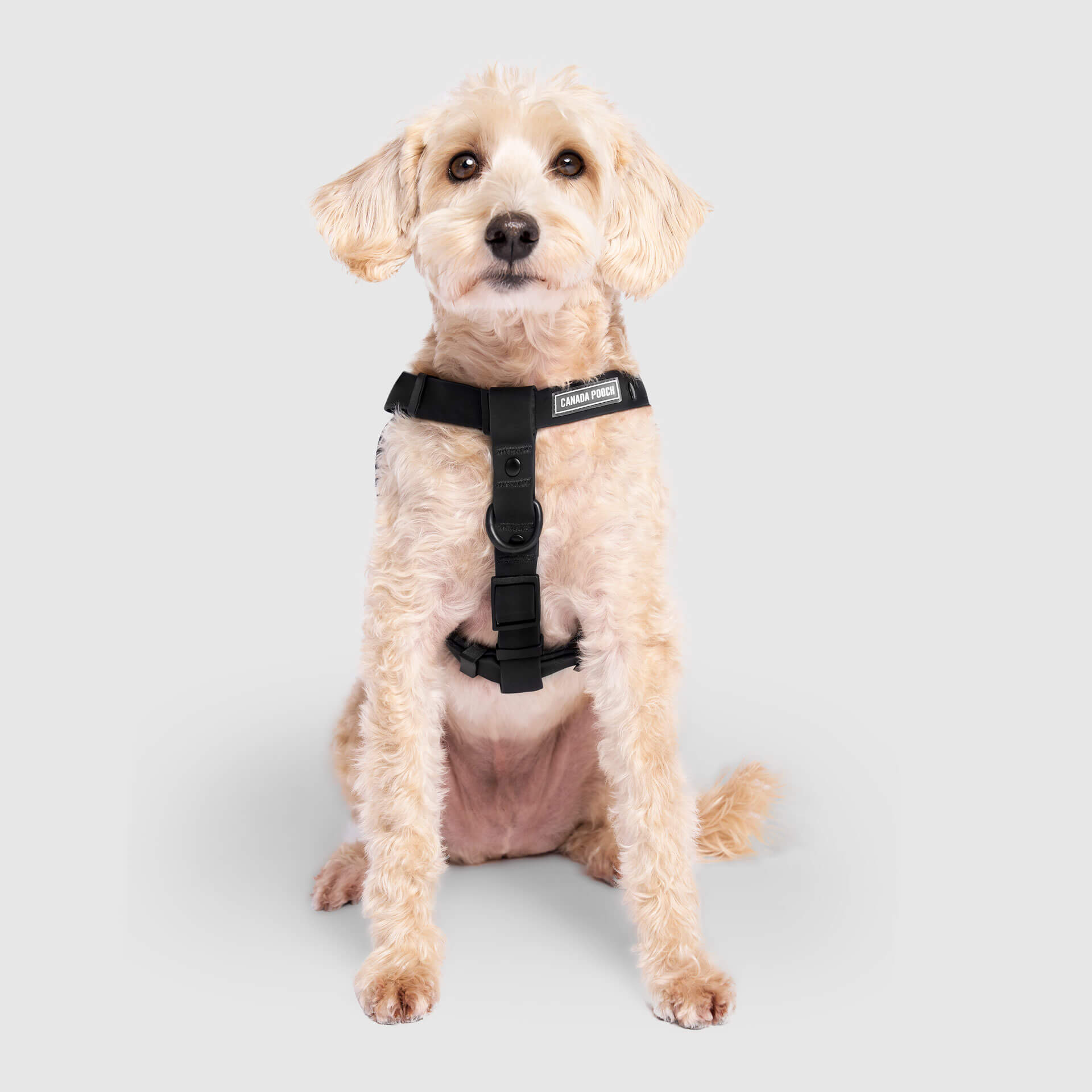 Waterproof Harness M4