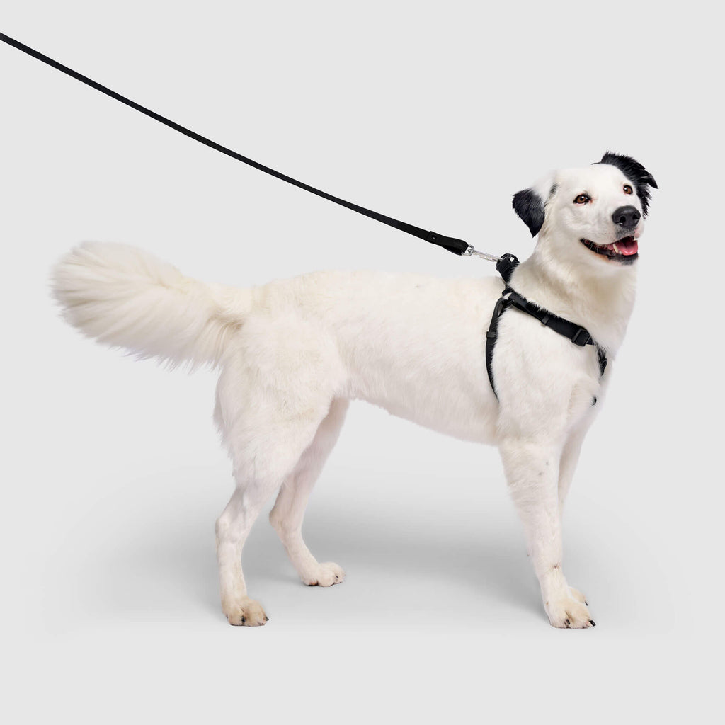 Waterproof Harness M4