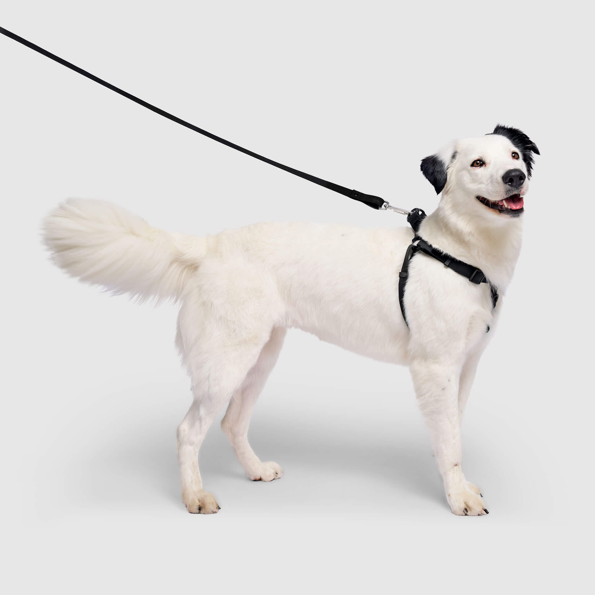 Waterproof Harness M4