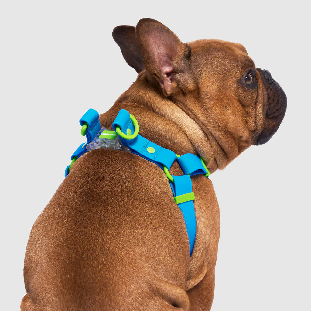 Waterproof Harness M4