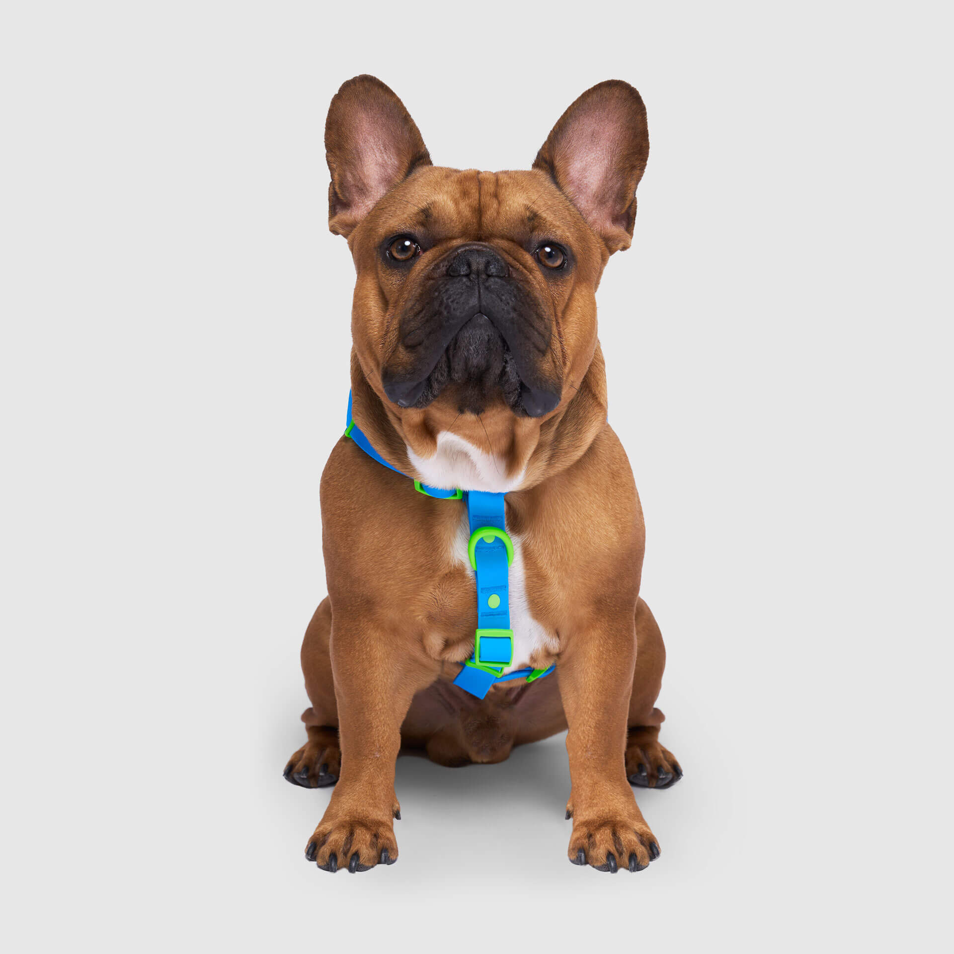 Waterproof Harness M4