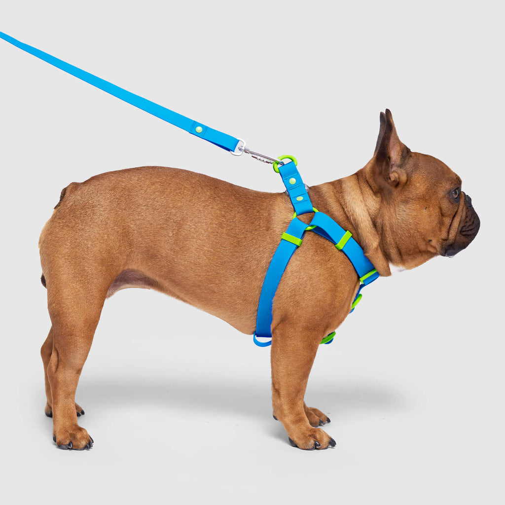 Waterproof Harness M4