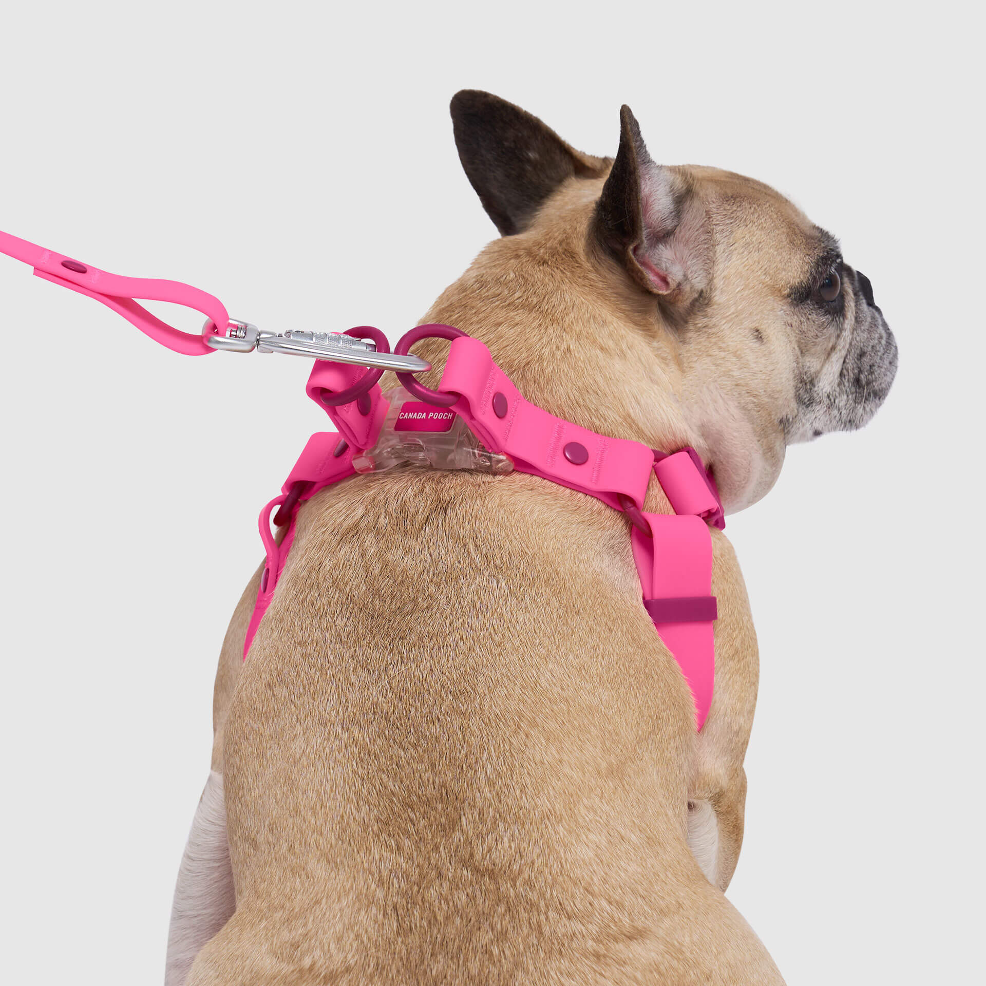 Waterproof Harness M4