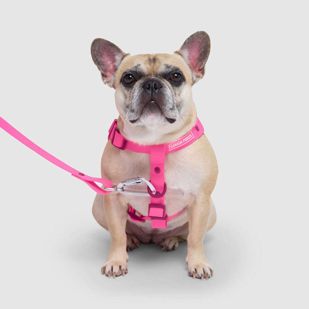 Waterproof Harness M4