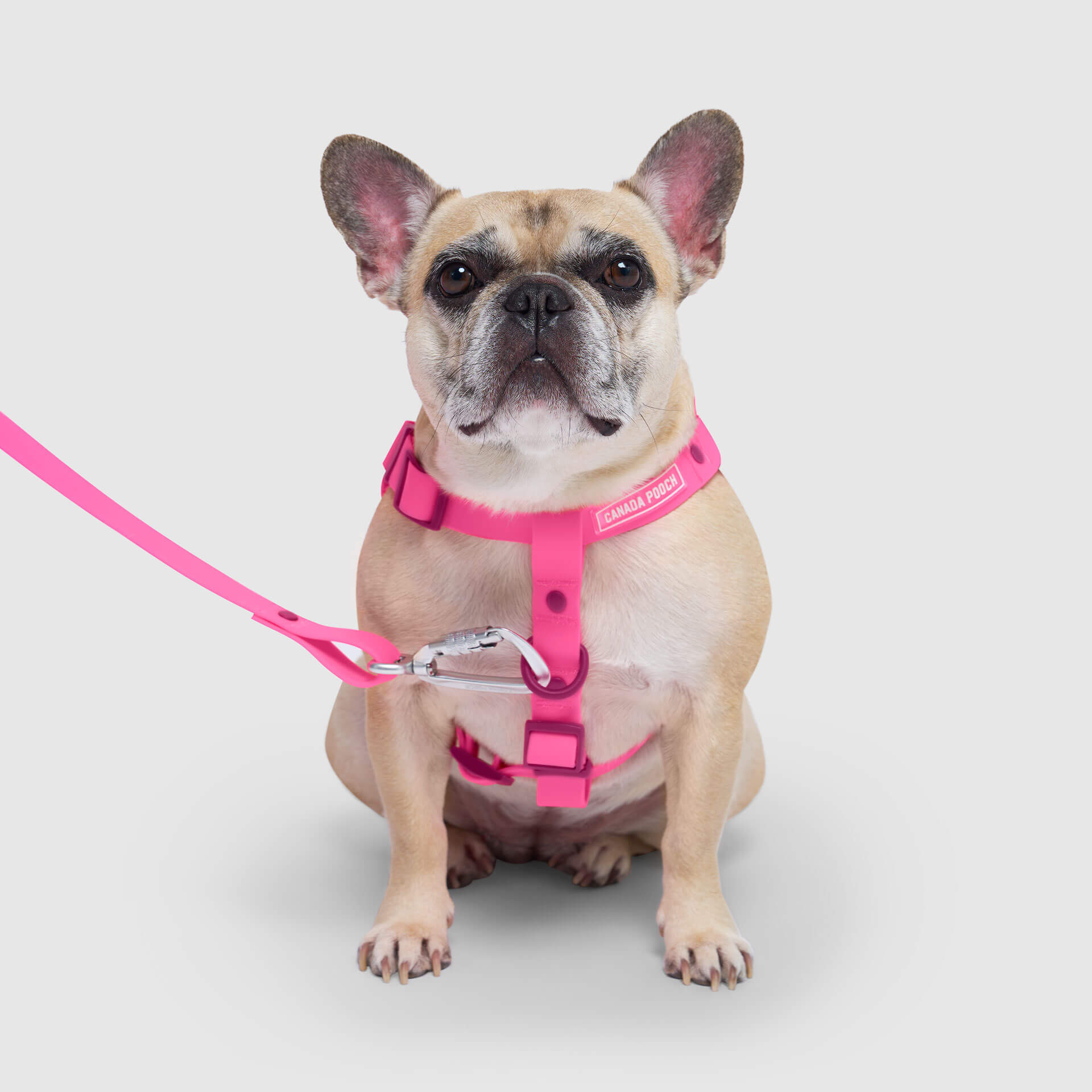 Waterproof Harness M4
