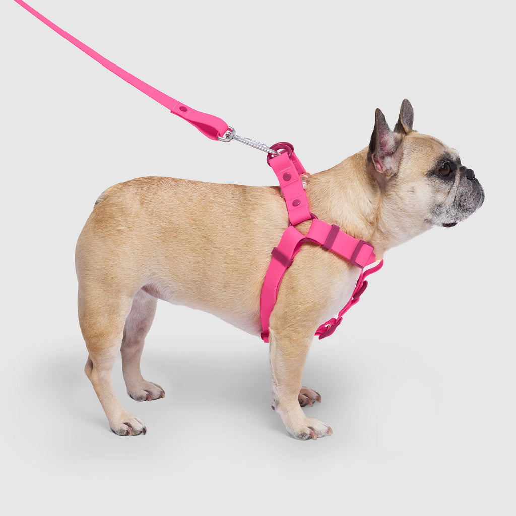 Waterproof Harness M4