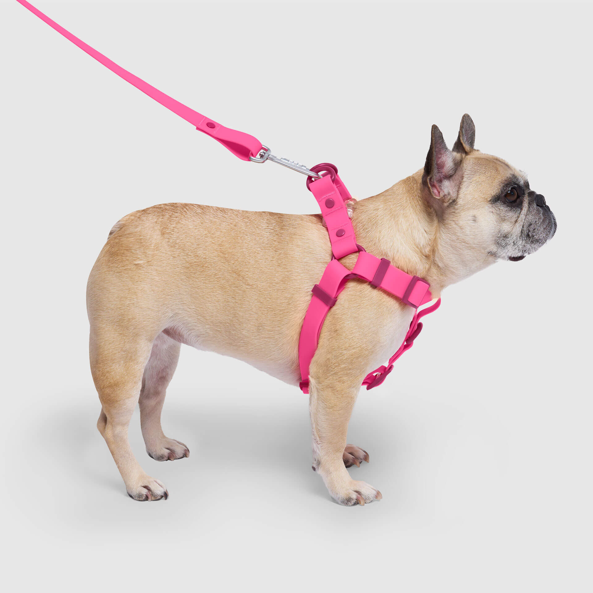 Waterproof Harness M4