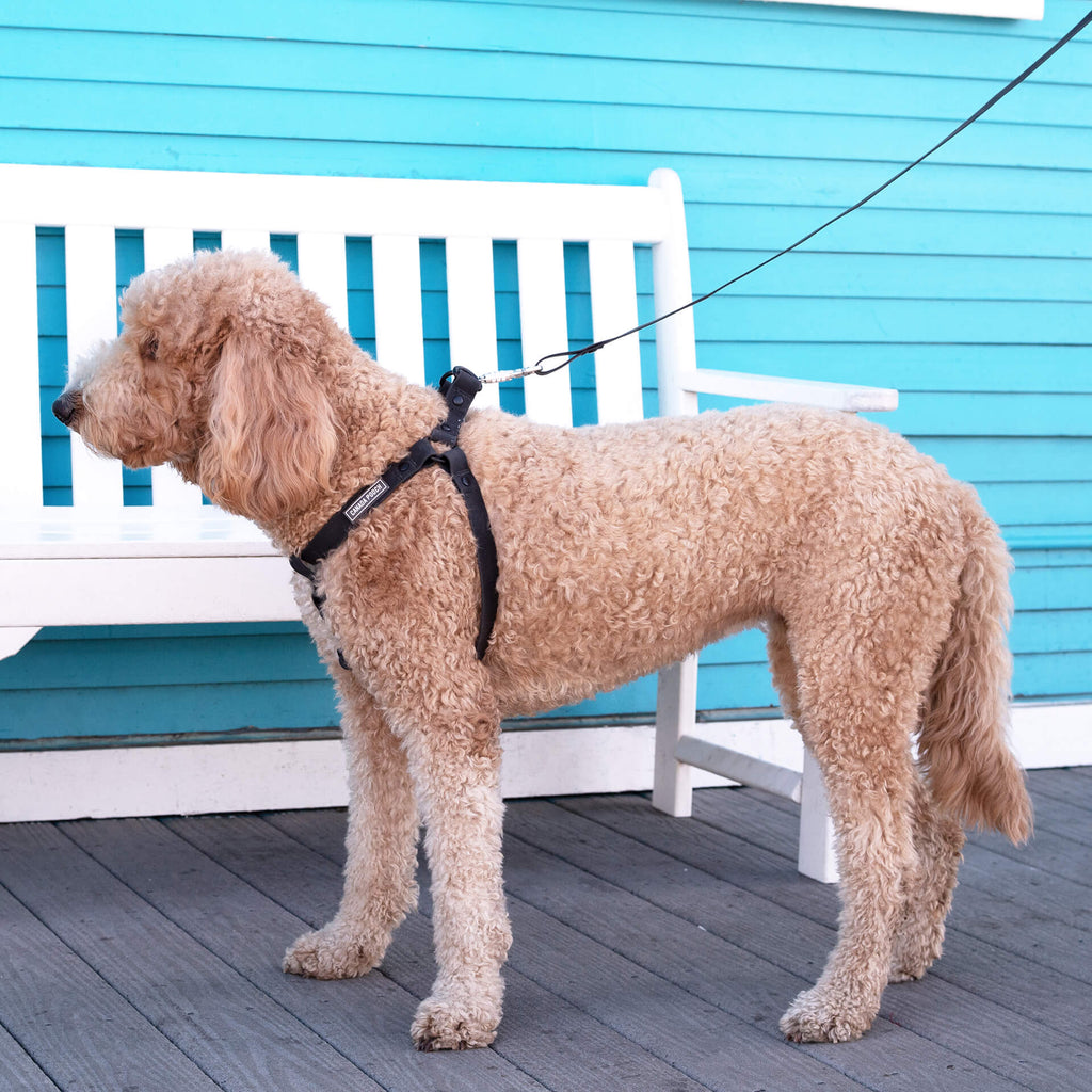 Waterproof Harness M4