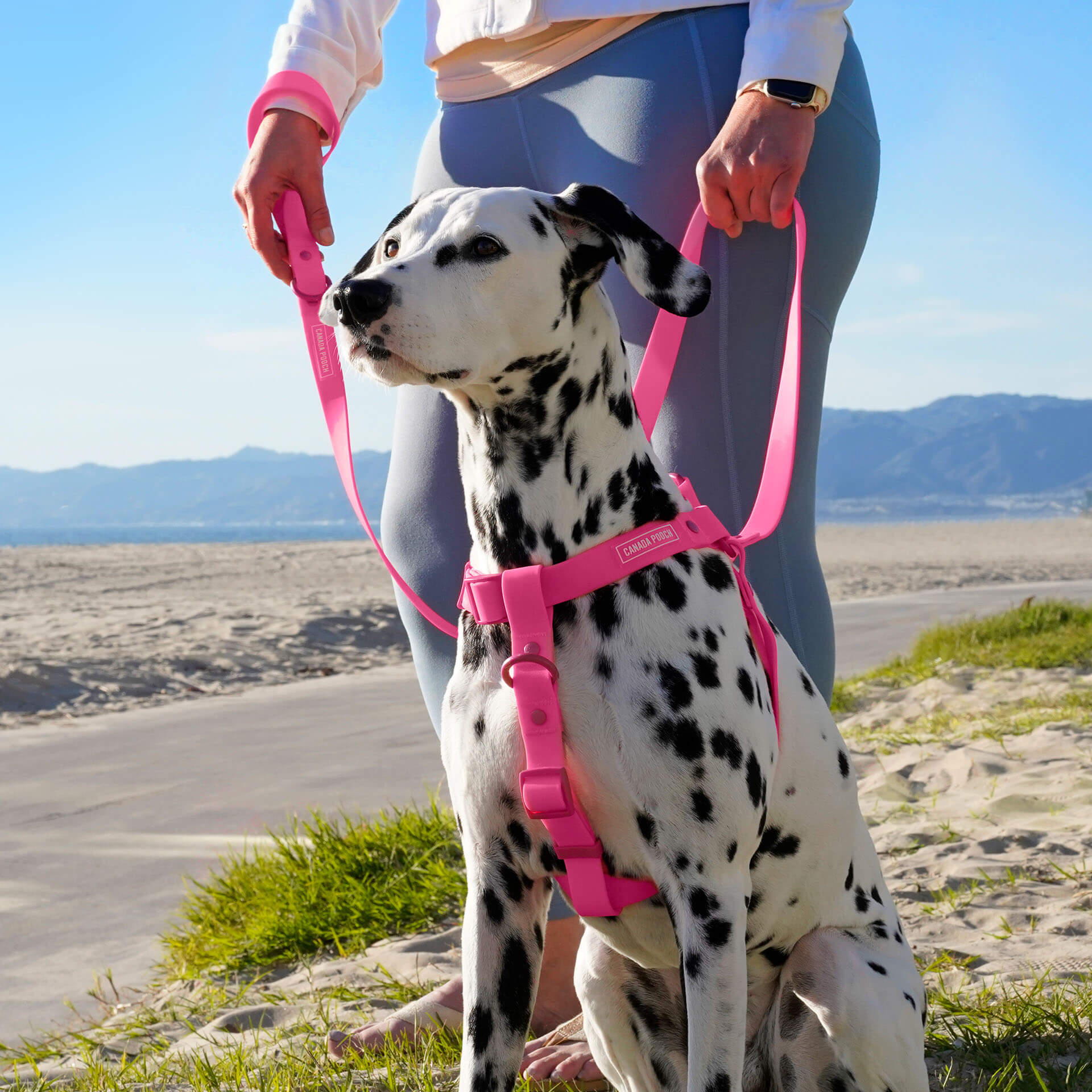 Waterproof Harness M4