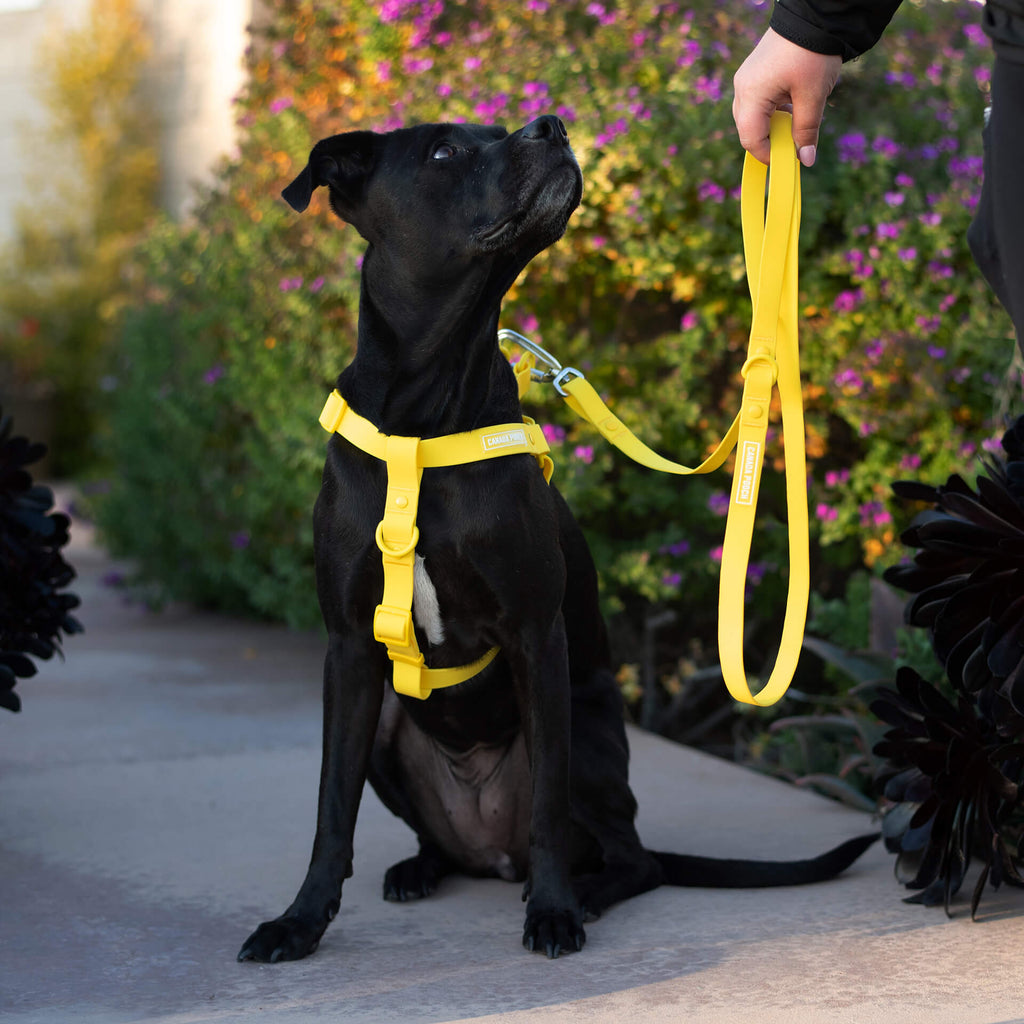 Waterproof Harness M4