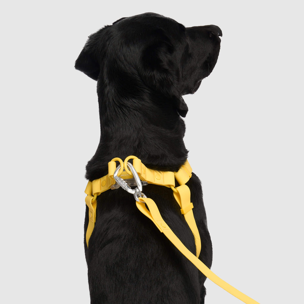 Waterproof Harness M4