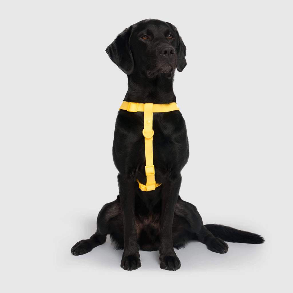 Waterproof Harness M4