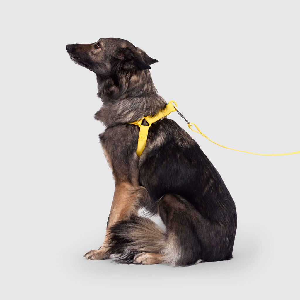 Waterproof Harness M4