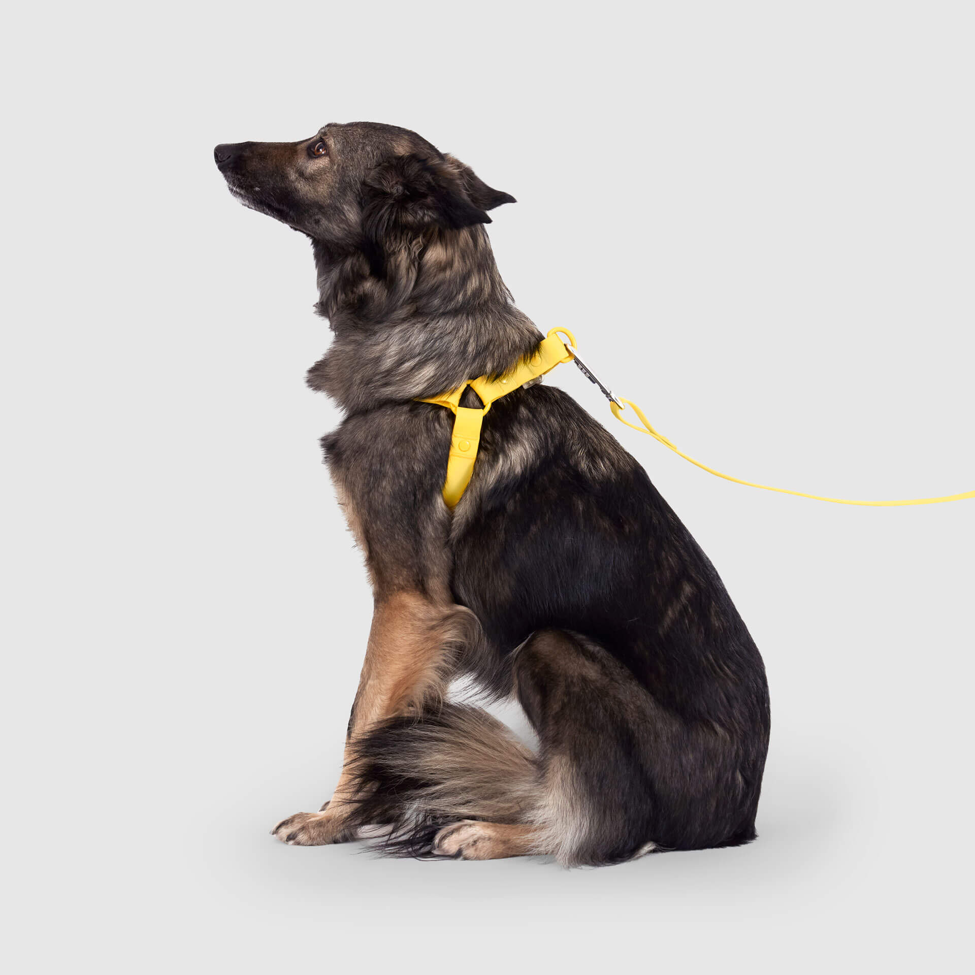 Waterproof Harness M4