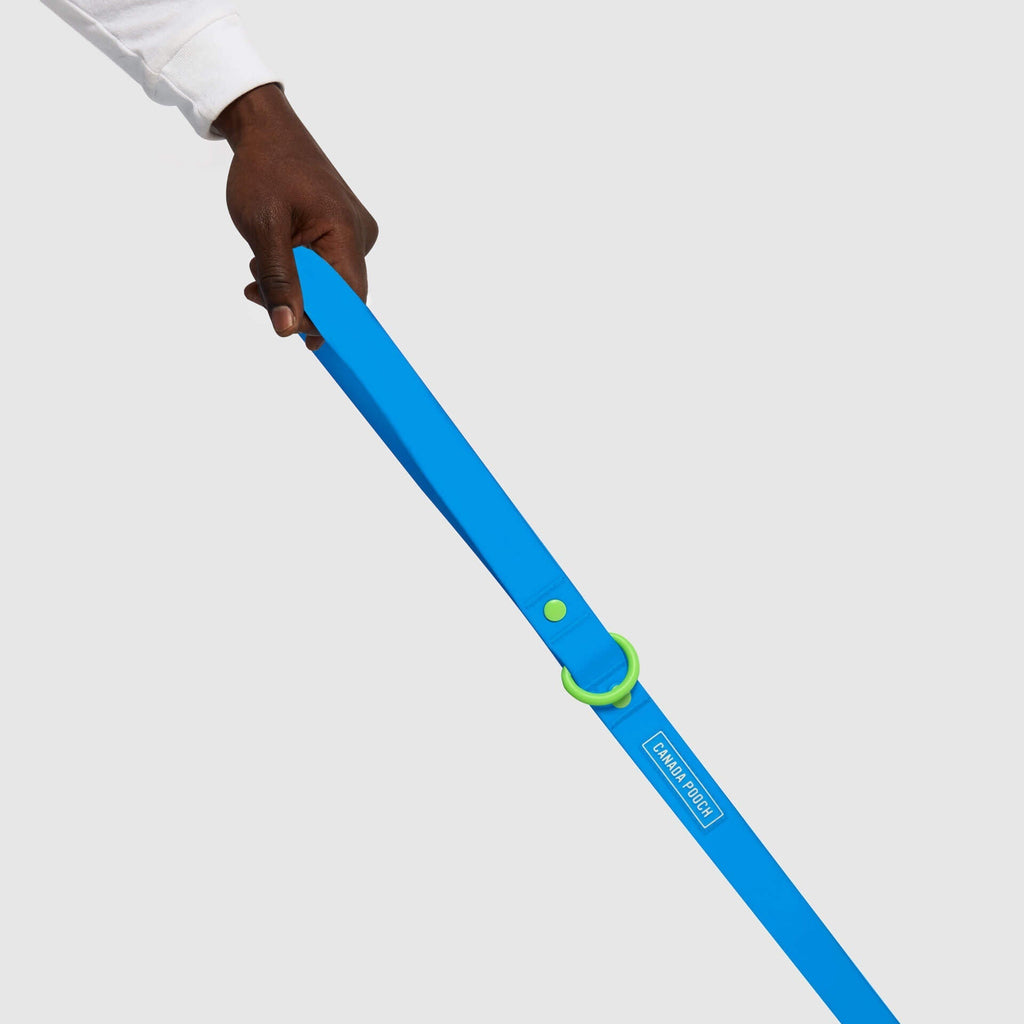 Waterproof Leash J9