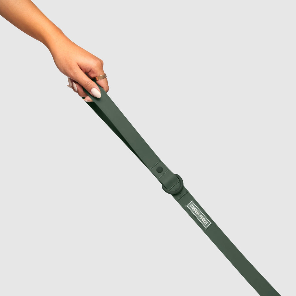 Waterproof Leash J9