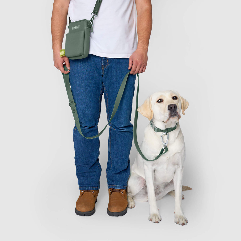 Waterproof Leash J9