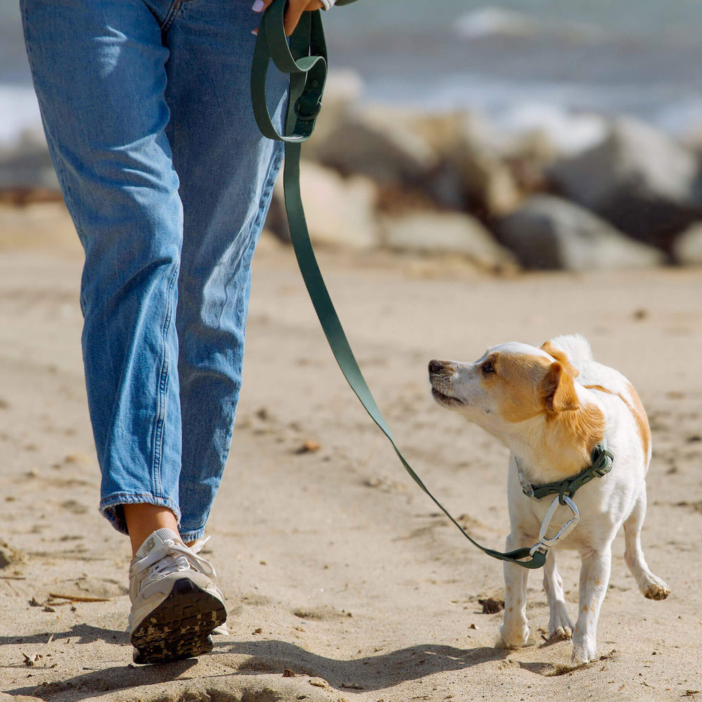 Waterproof Leash J9