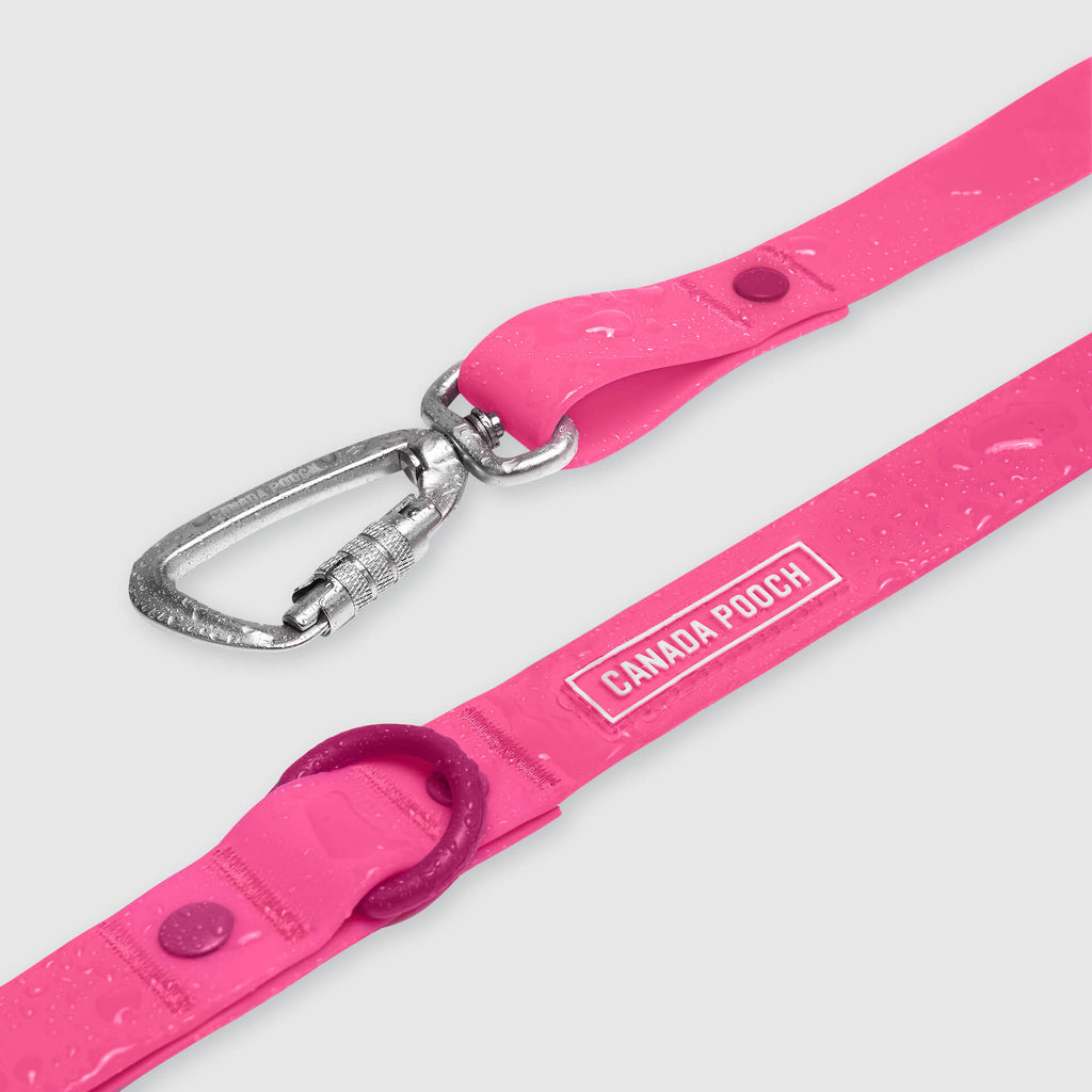 Waterproof Leash J9