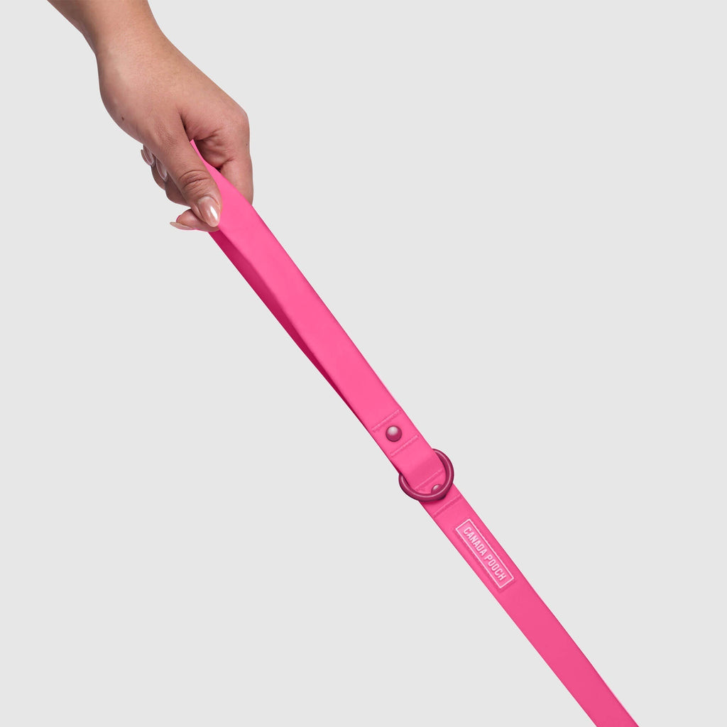 Waterproof Leash J9