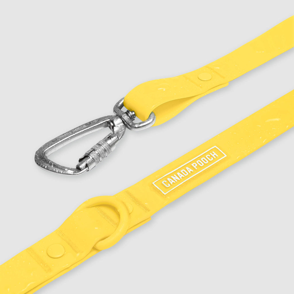Waterproof Leash J9