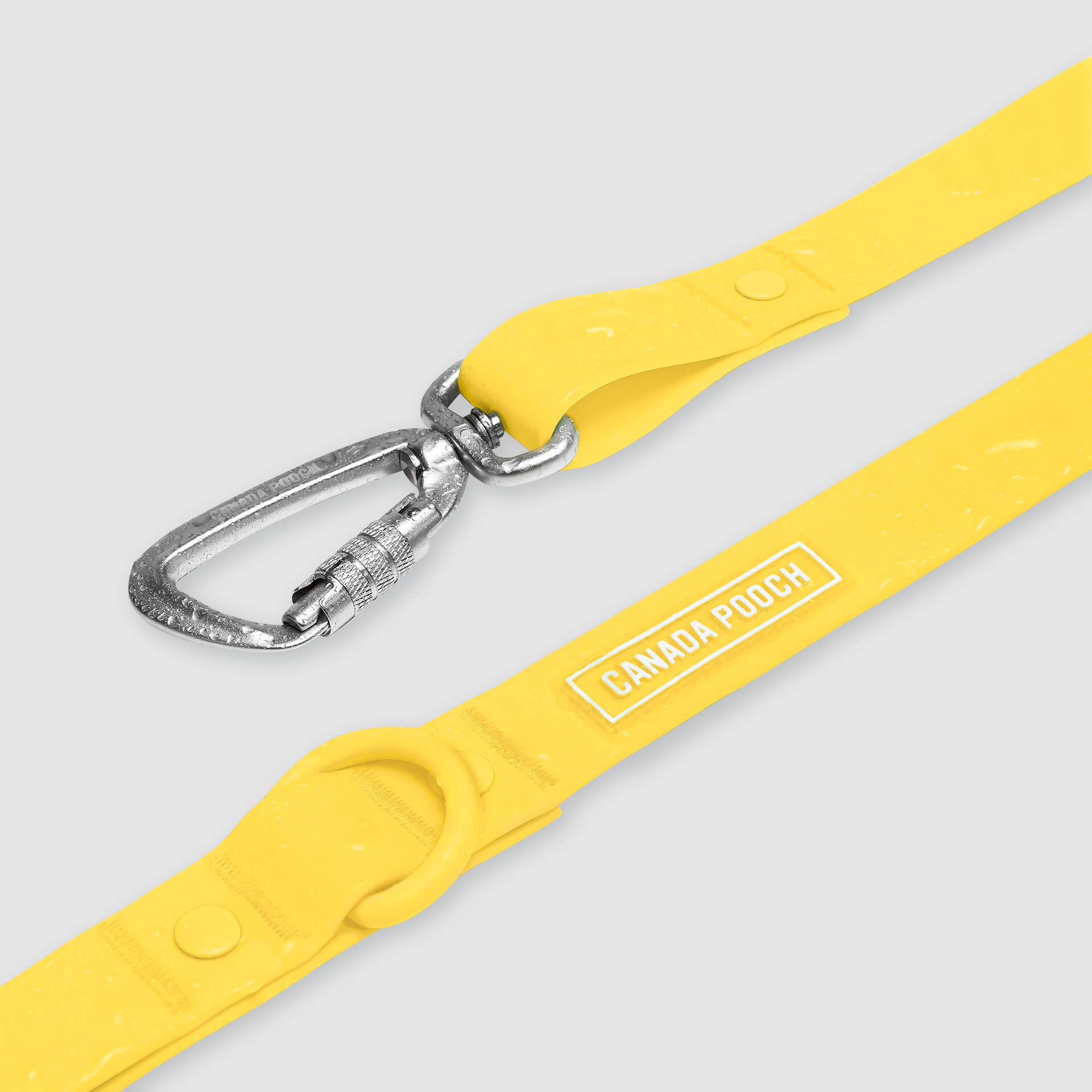 Waterproof Leash J9