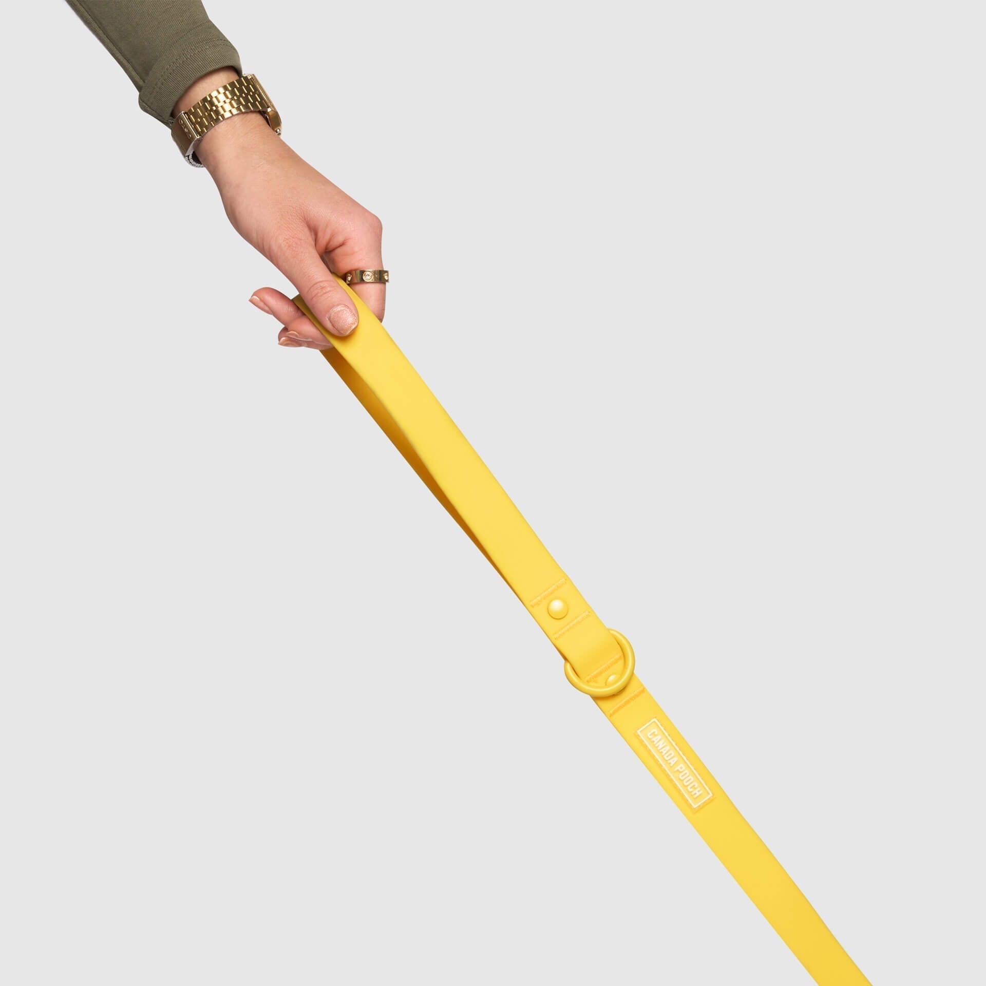 Waterproof Leash J9