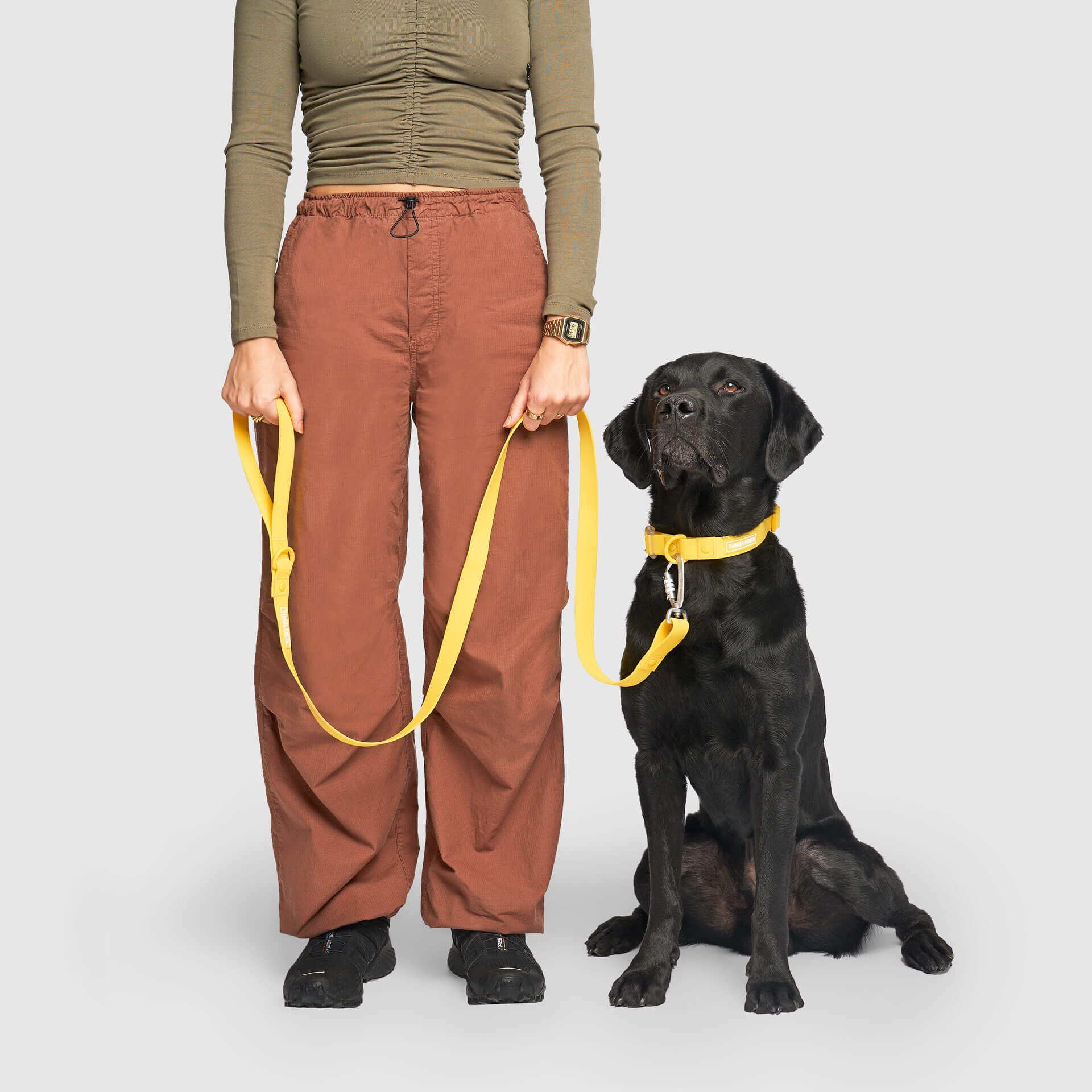 Waterproof Leash J9