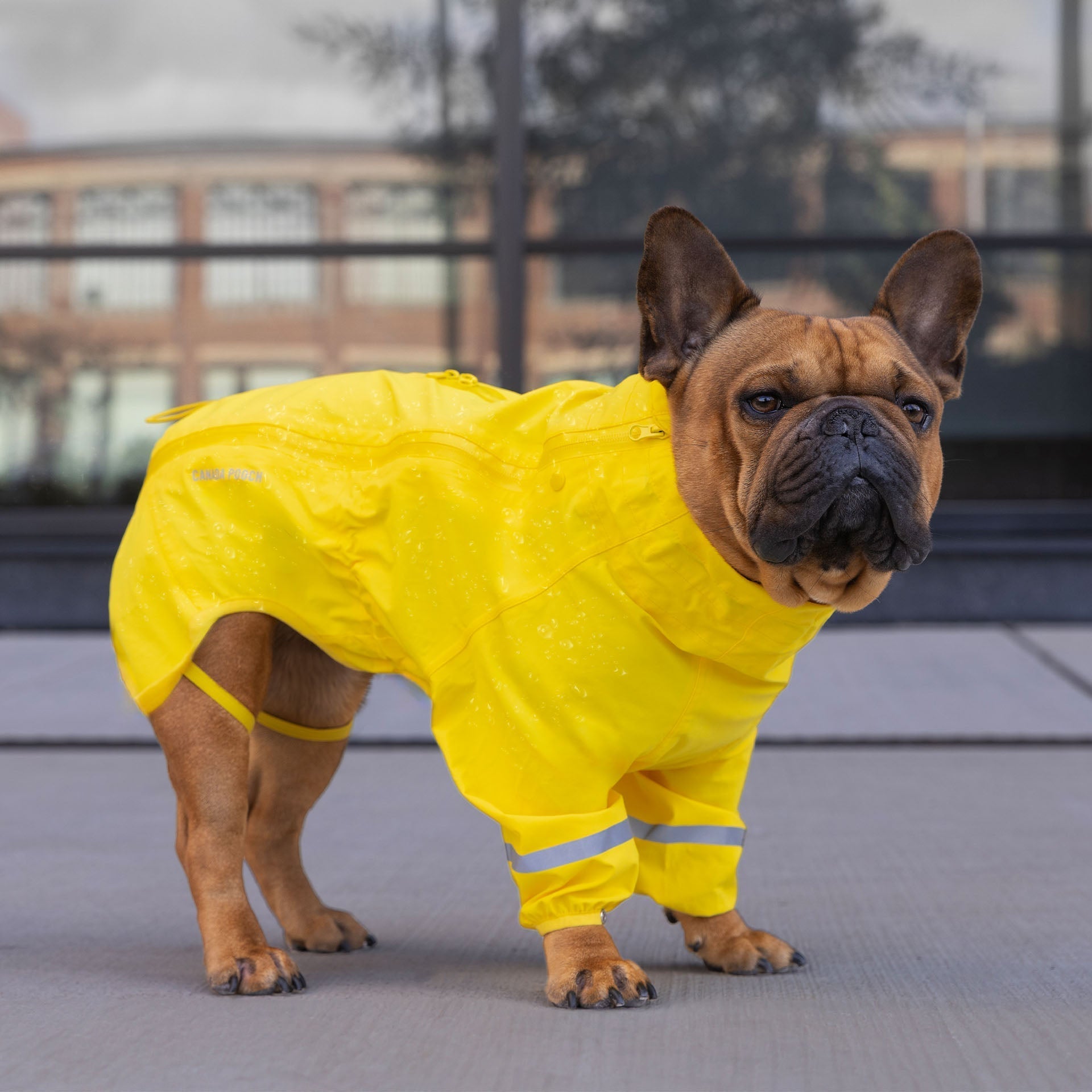 Waterproof Raincoat C6