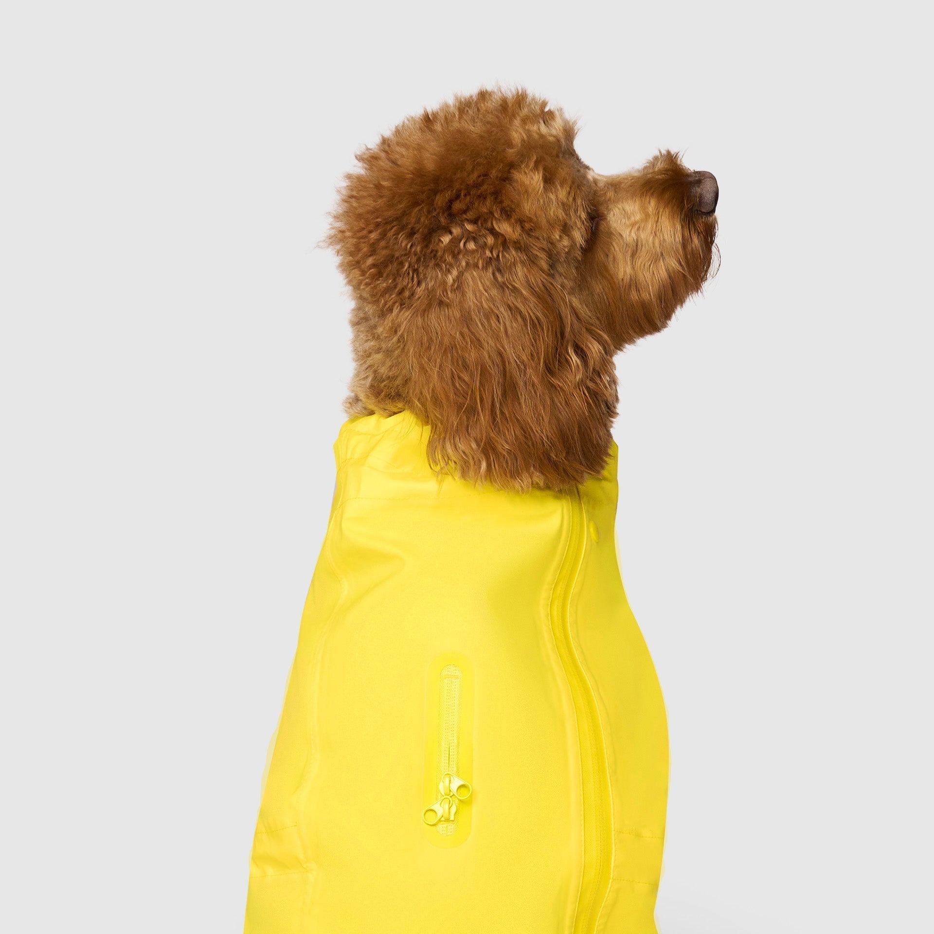 Waterproof Raincoat A8