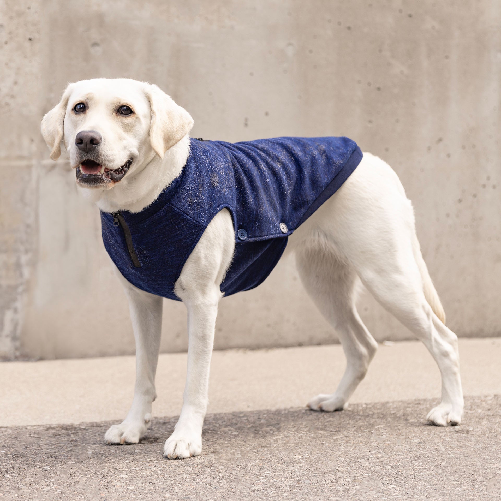 Waterproof Sweater C0