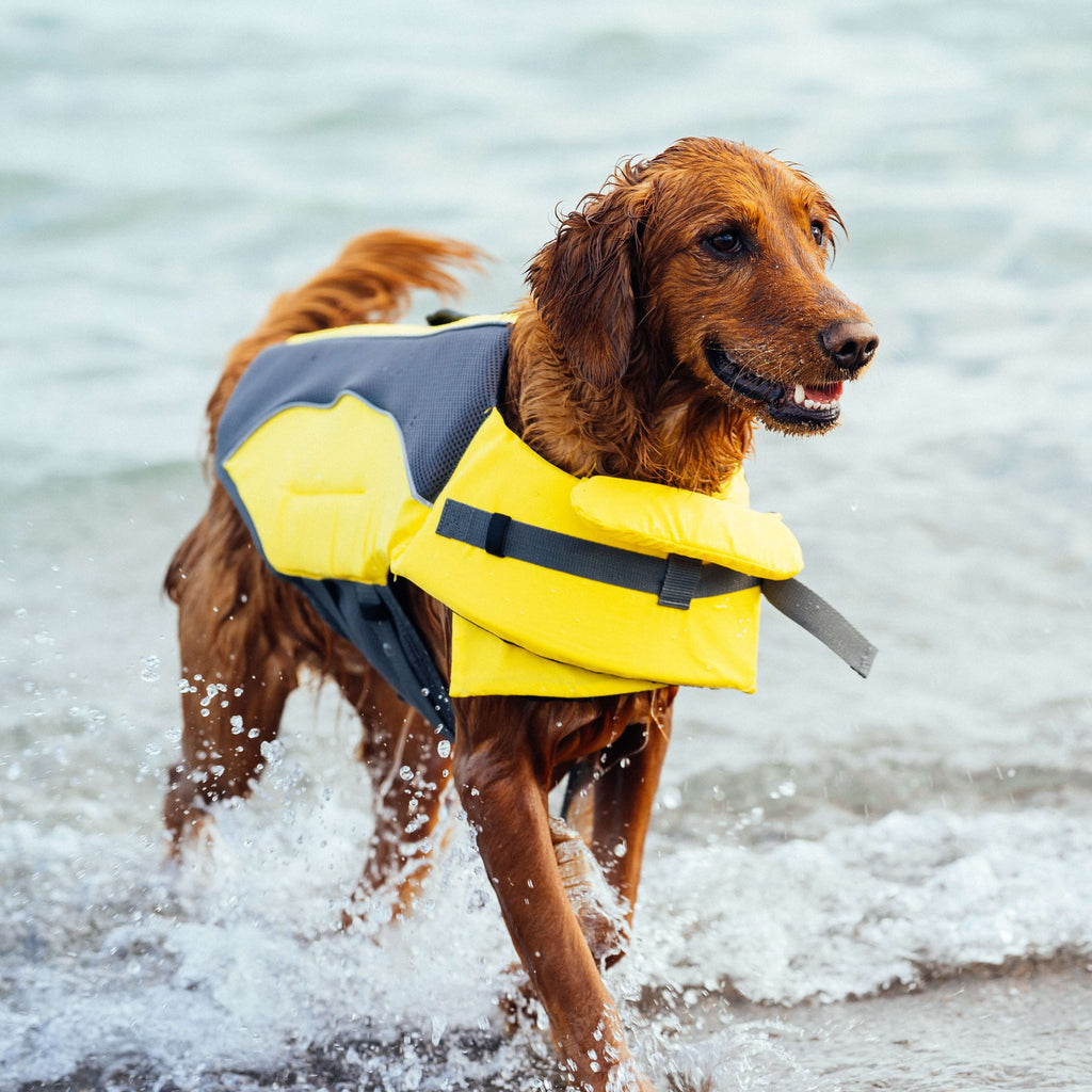 Wave Rider Life Jacket A0