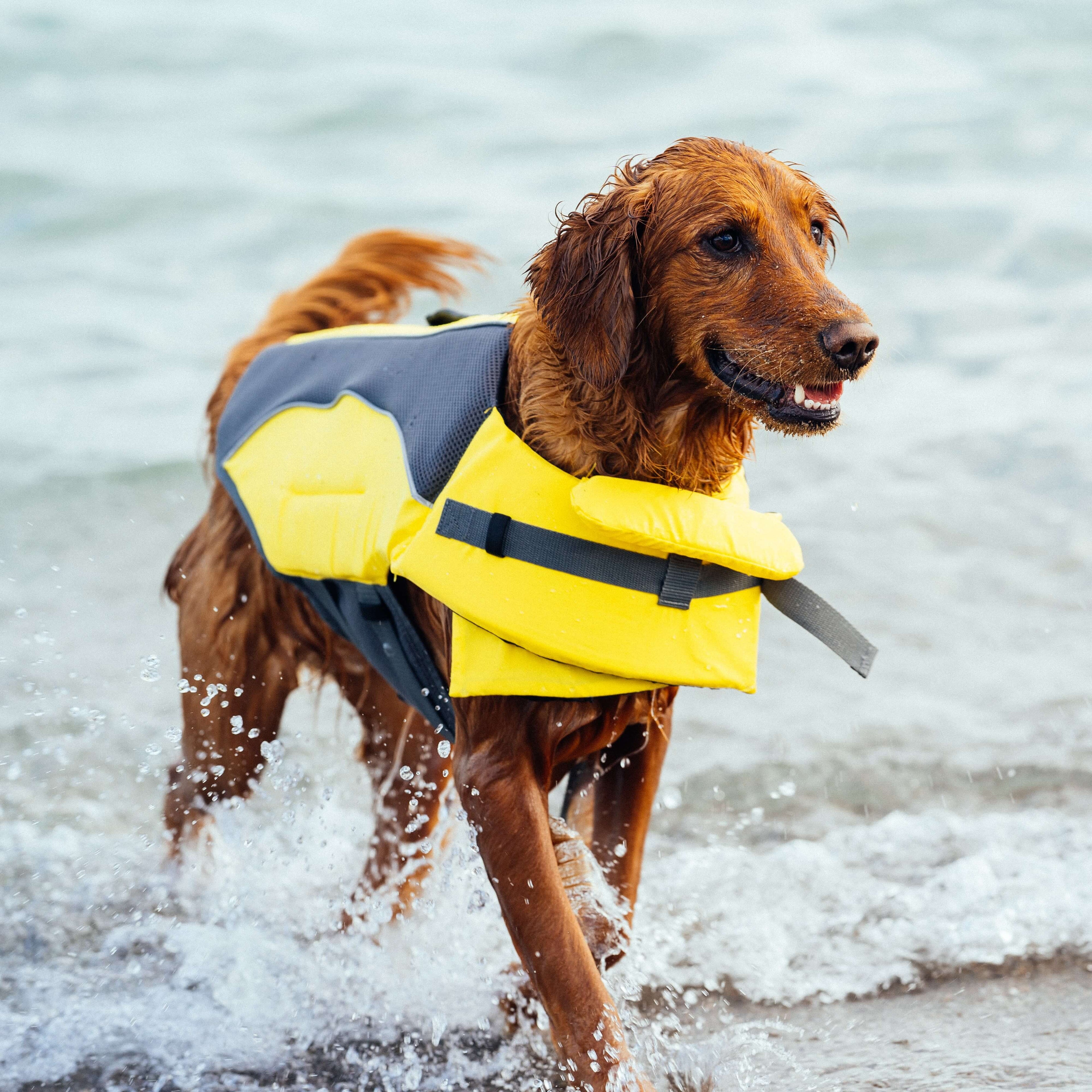Wave Rider Life Jacket A0