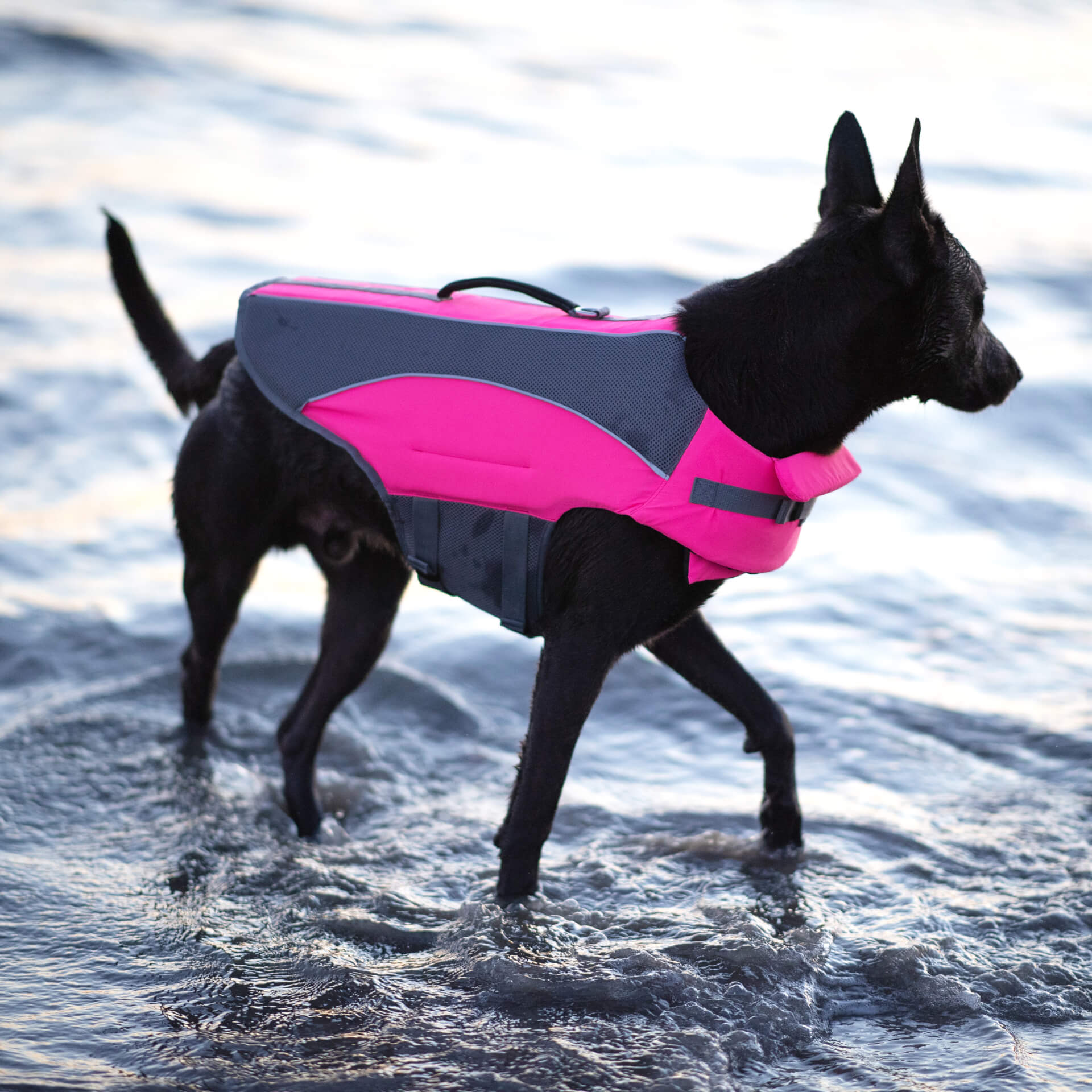 Wave Rider Life Jacket A0