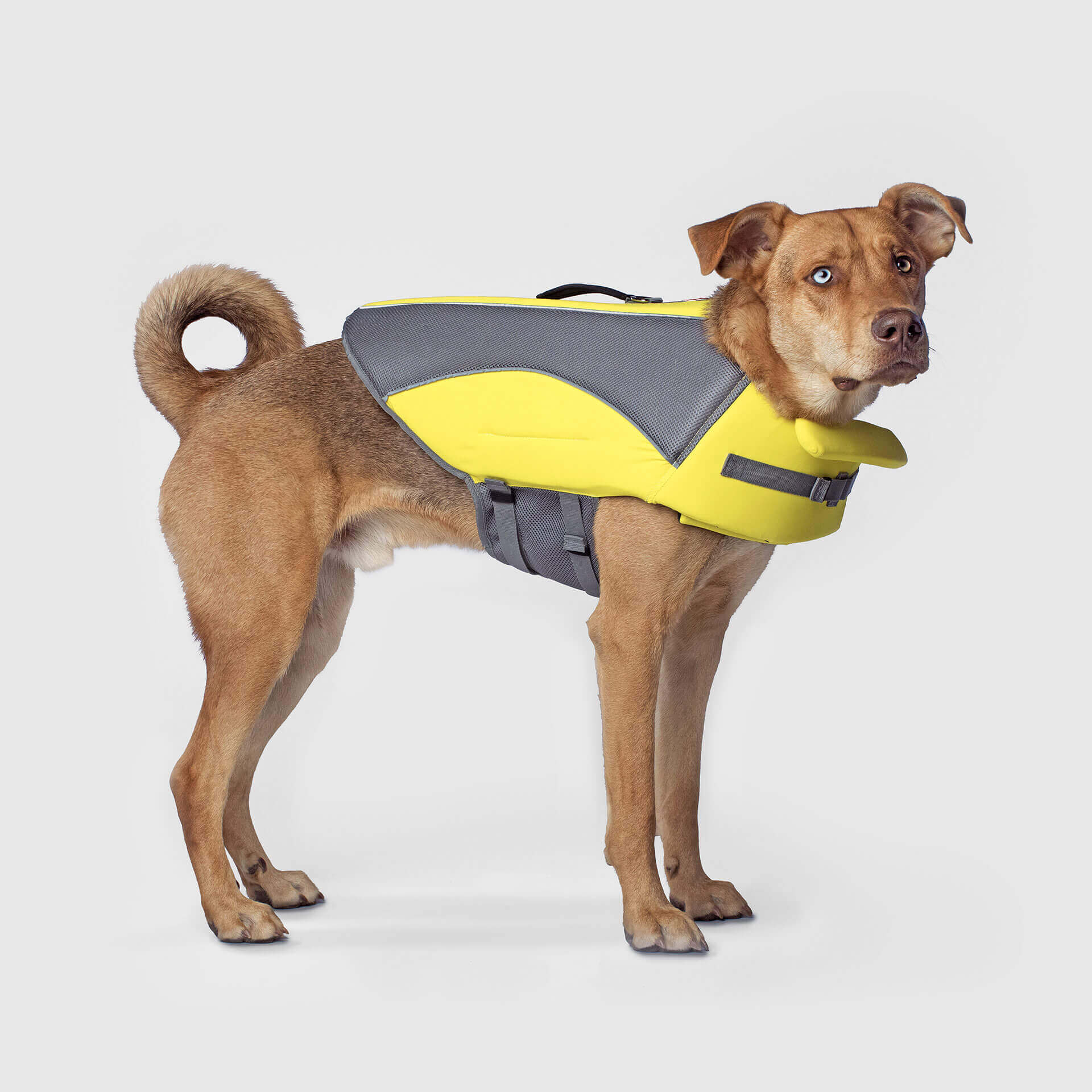 Wave Rider Life Jacket A0